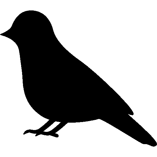 سارا محسنی اردهالی